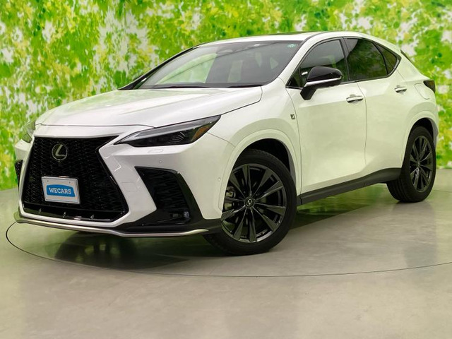 NX 350h Fスポーツ 