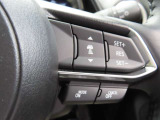 前車追従機能付のレーダークルーズ付きです。車間距離を自動調節し、アクセル操作の労力を軽減します。長距離を帰省される方には、特にお奨めですよ。