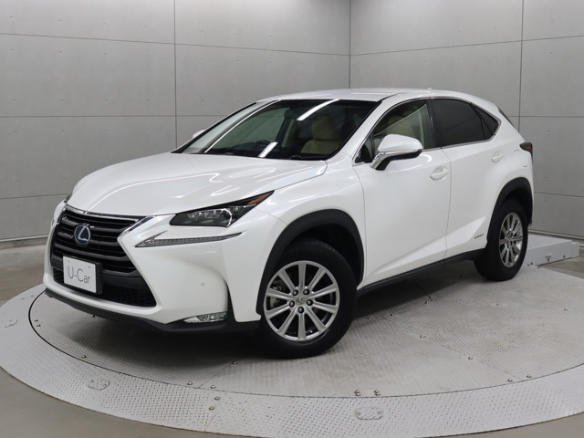 NX 300h Iパッケージ 
