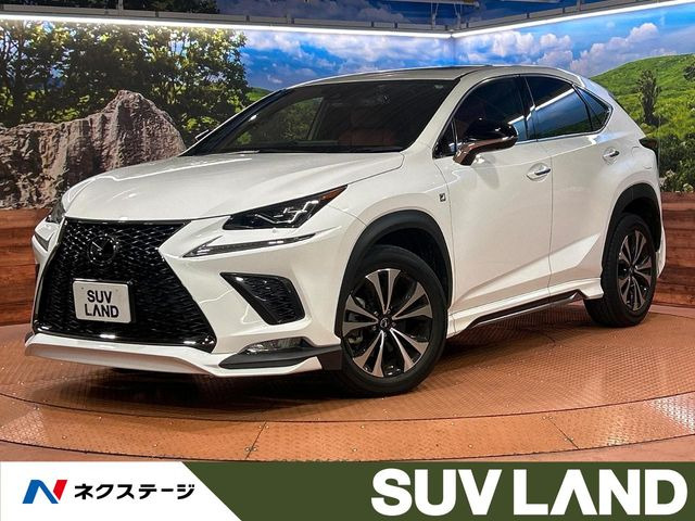 NX 300 Fスポーツ 