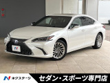 ブラインドスポットモニター セーフティシステムプラス 3眼LEDヘッド