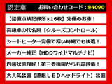 CT 200h Fスポーツ スピンドル LEDライト 記X16