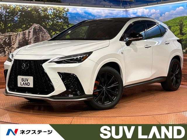 NX 350h Fスポーツ 