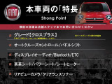 500X  クロス プラス