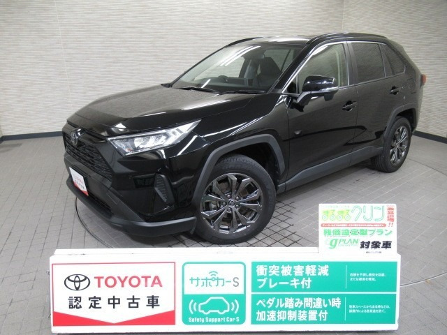 RAV4 2.0 X 