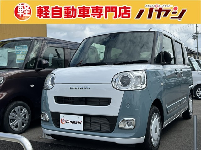 ムーヴキャンバス  ストライプス G