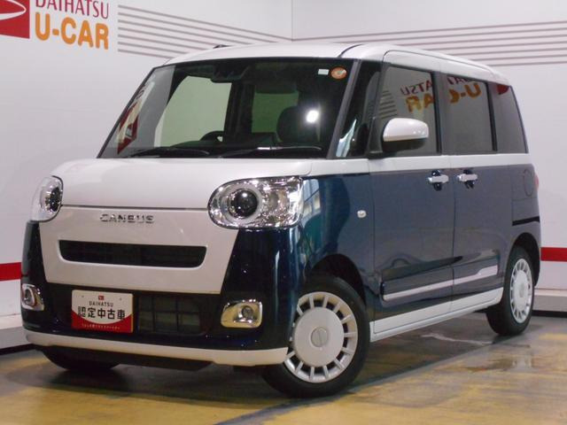 ムーヴキャンバス  ストライプス G