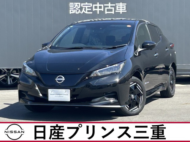 リーフ e+ X 