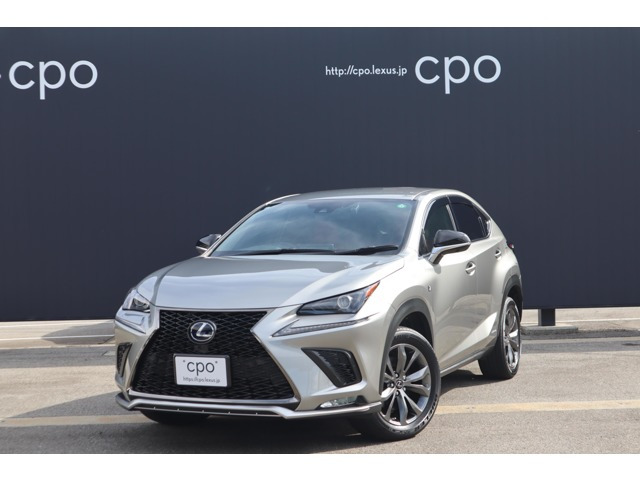 NX 300h Fスポーツ 