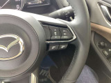 レーダークルーズコントロールを装備。アクセルやブレーキを操作しなくても、自動で先行車との車間距離を保ち追従走行できます。長距離や高速道路を運転する際に、ドライバーへの負担を軽減します。