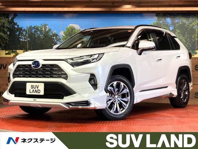 RAV4 2.5 ハイブリッド G E-Four 4WD （6AA-AXAH54）