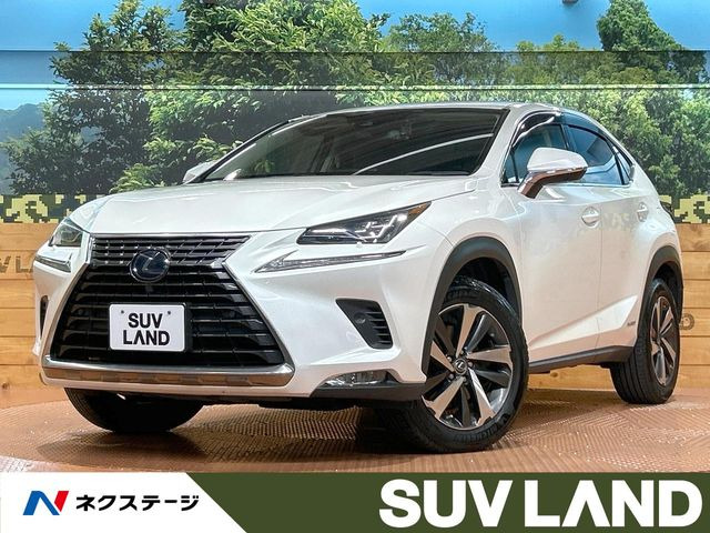 NX 300h Iパッケージ 