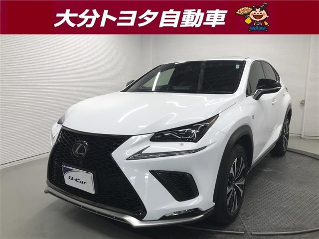 NX 300 Fスポーツ 