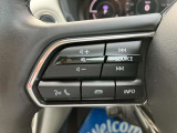 手元で操作が出来るオーディオスイッチやハンズフリースイッチを装備。