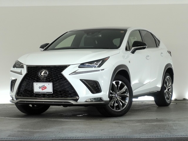 NX 300 Fスポーツ