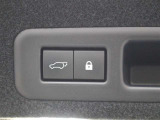 バックドアに設置されたパワーバックドアスイッチです。
