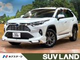 10型ナビ 全周囲カメラ 禁煙車 パワーバックドア シートエアコン