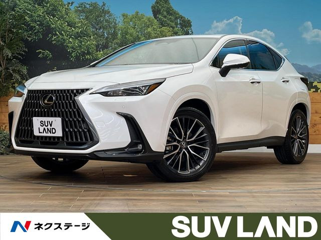 NX 350h 