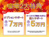 オプションサポート実施中!詳細は営業スタッフにお問い合わせください!