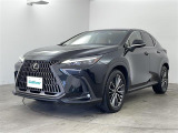 NX 250 バージョンL 本革シート 修復歴無し