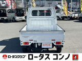 ゲートプロテクター付き!