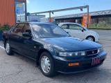 ビガー 2.5 25W 