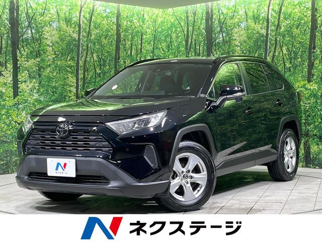 RAV42.0 X