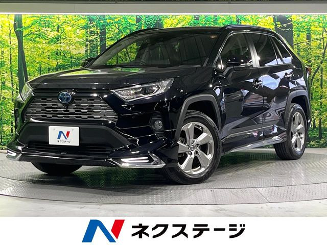 RAV4 2.5 ハイブリッド G E-Four 4WD （6AA-AXAH54）