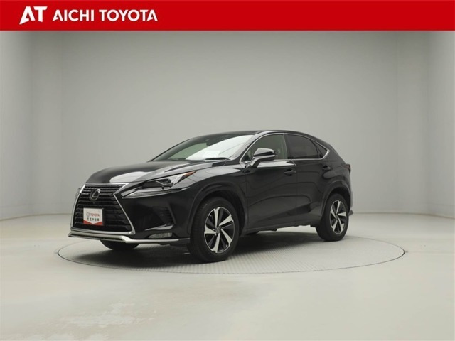 NX300スパイス&シック