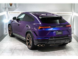 Rear spoiler in carbon fiber - Shiny