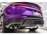 Rear spoiler in carbon fiber - Shiny