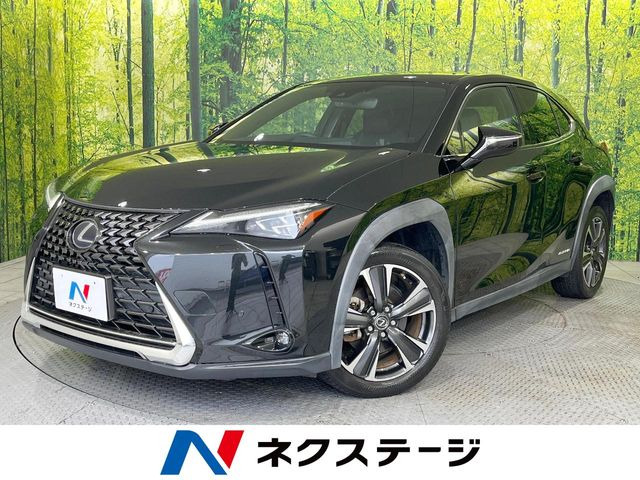UX250h バージョンL