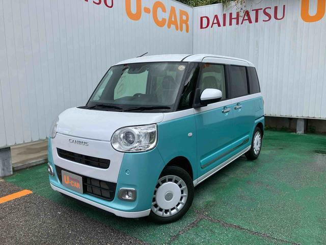 ムーヴキャンバス  ストライプス G