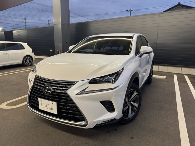 NX300 Iパッケージ 4WD