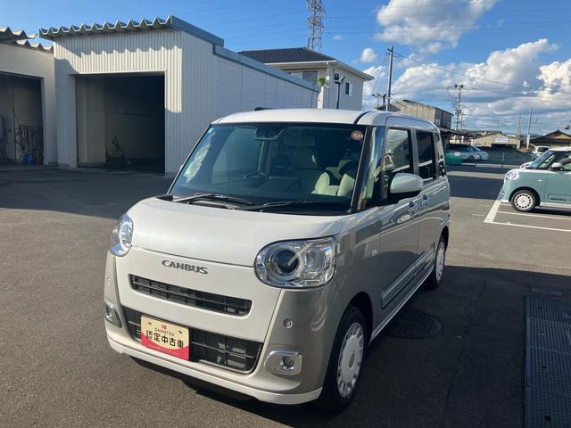 ムーヴキャンバス  ストライプス G