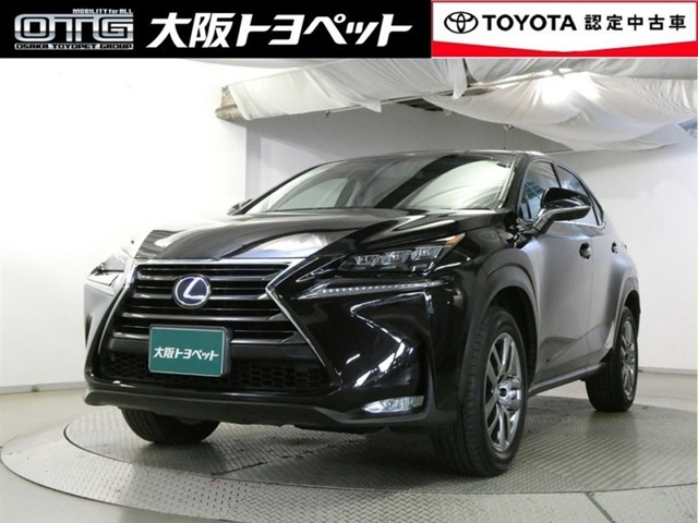 NX 300h Iパッケージ （DAA-AYZ10）