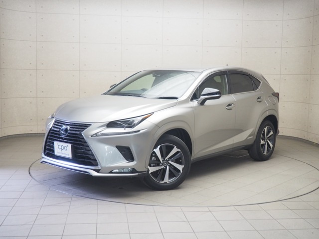 NX300hスパイス&シック