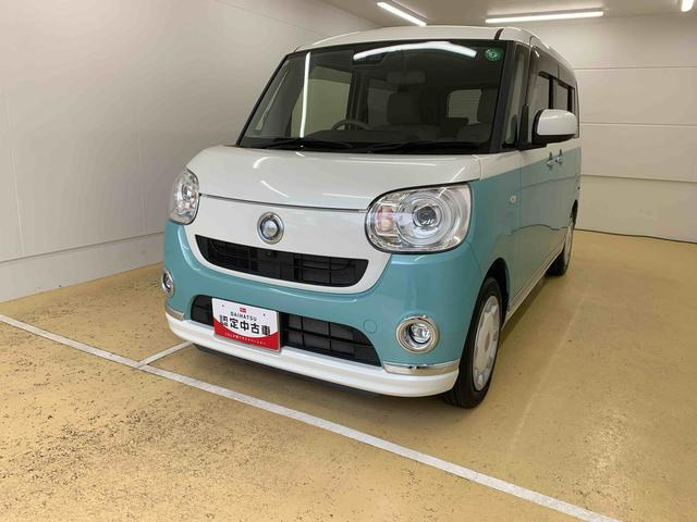 ムーヴキャンバス G メイクアップ リミテッド SAIII 