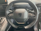 小径でスポーツカーを思わせるスポーティなパドルシフト付きステアリングホイール