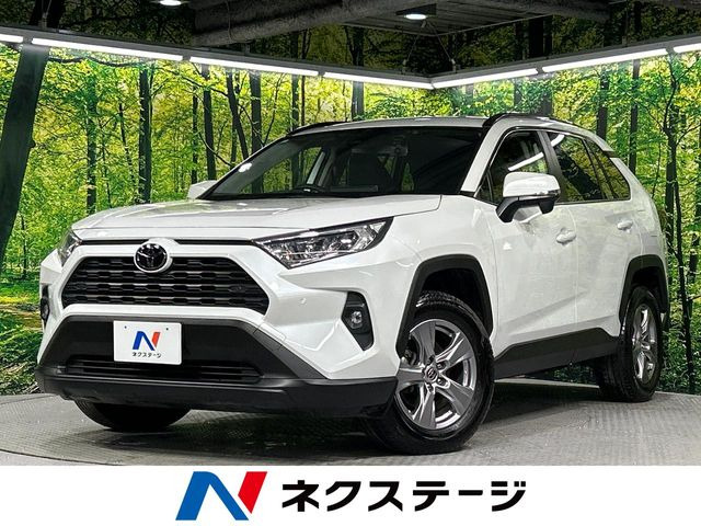 RAV42.0 X