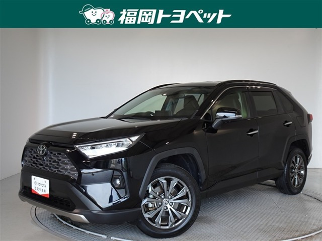 RAV4 2.0 G 4WD（6BA-MXAA54）