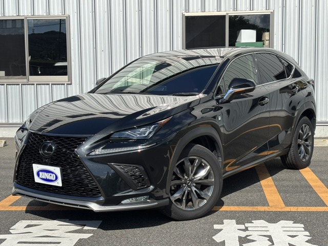 NX 300 Fスポーツ ナビ TV（DBA-AGZ10）