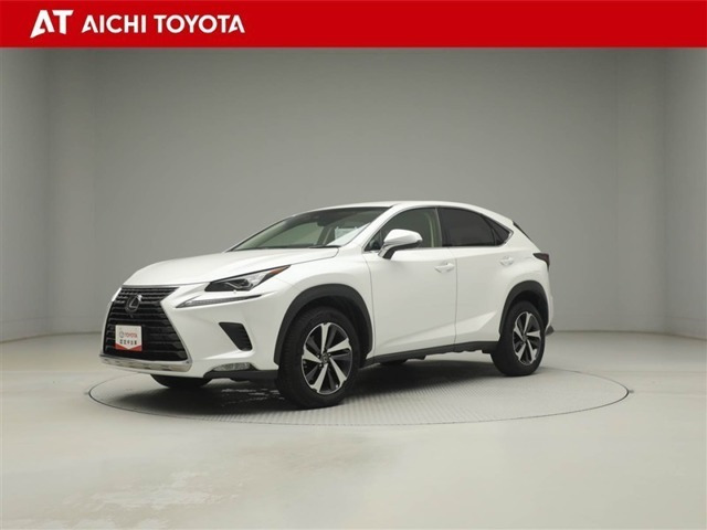 NX 300 Iパッケージ 