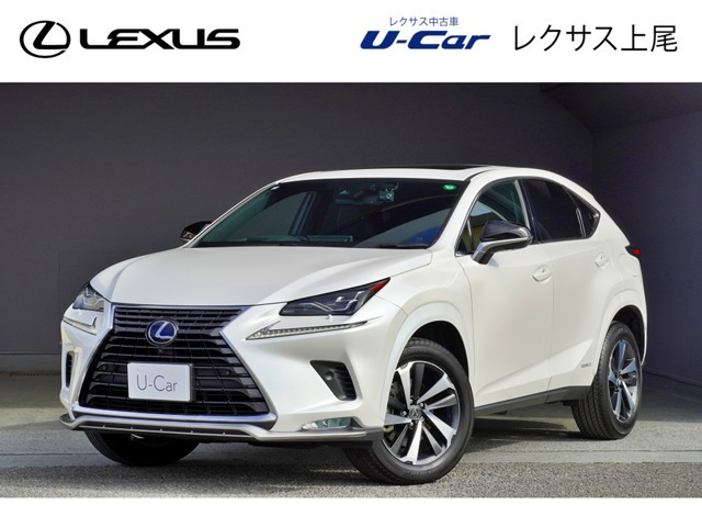 NX300hスパイス&シック