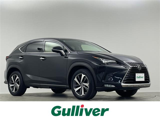 NX300 Iパッケージ本革シート サンルーフ