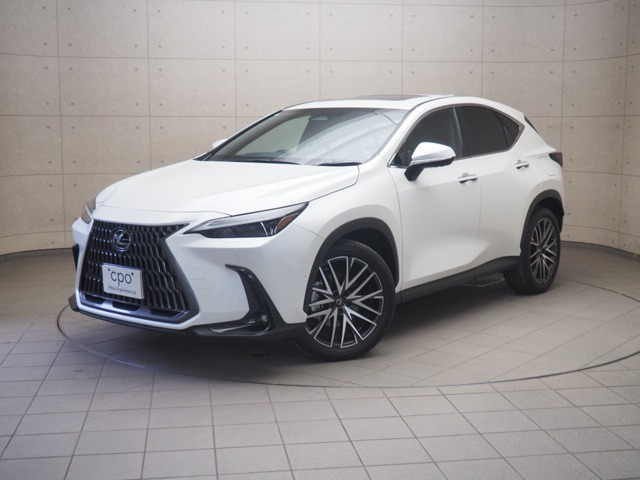 NX450hプラス バージョンL 4WD