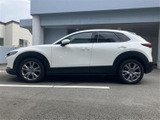 CX-30 2.0 20S プロアクティブ ツーリングセレクション 4WD