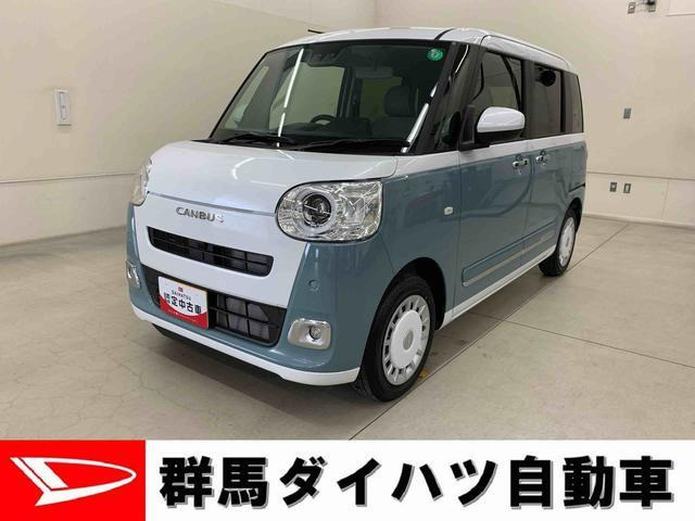 ムーヴキャンバス  ストライプス G