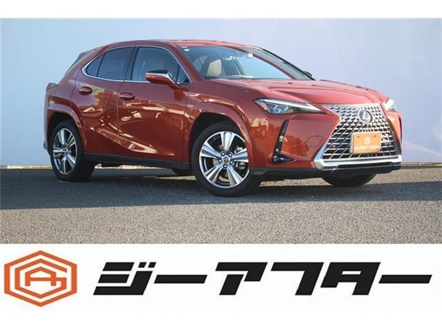 UX250h グレイスフル エクスプローラー純正ナビ全周囲カメラ地デジ本革シートLED