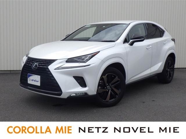 NX300 ブロンズ エディション